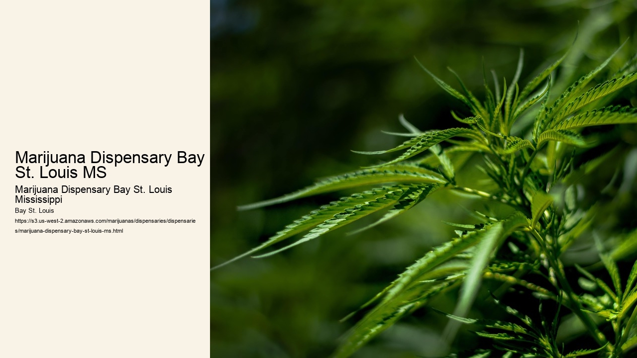 Marijuana Dispensary Bay St. Louis MS