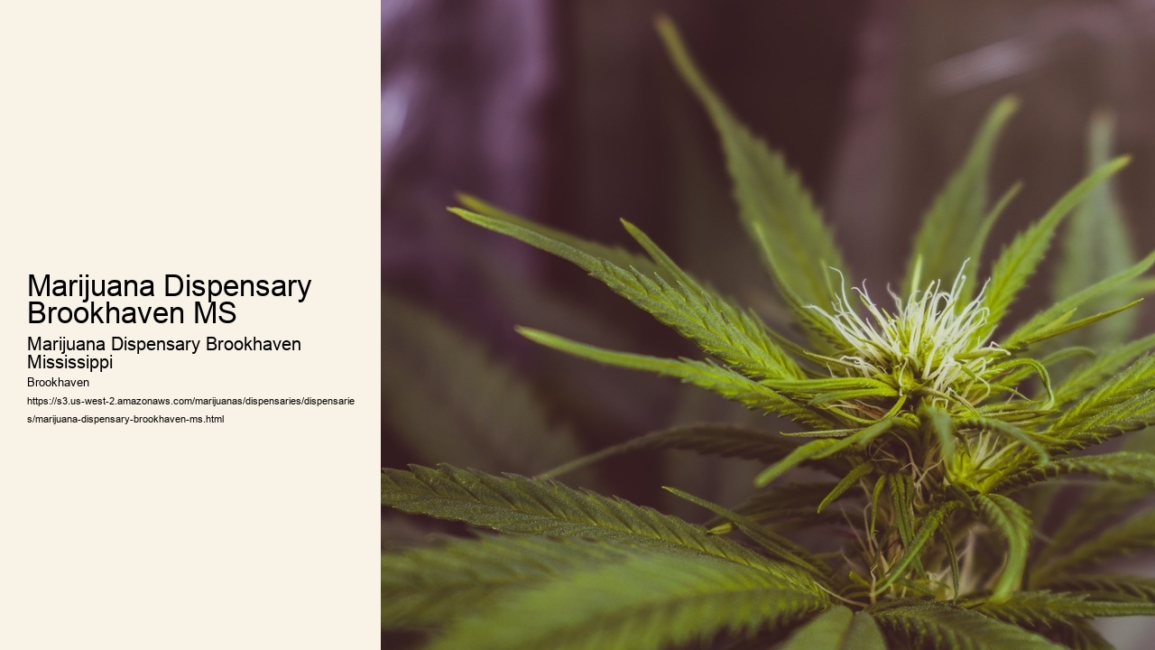 Marijuana Dispensary Brookhaven MS