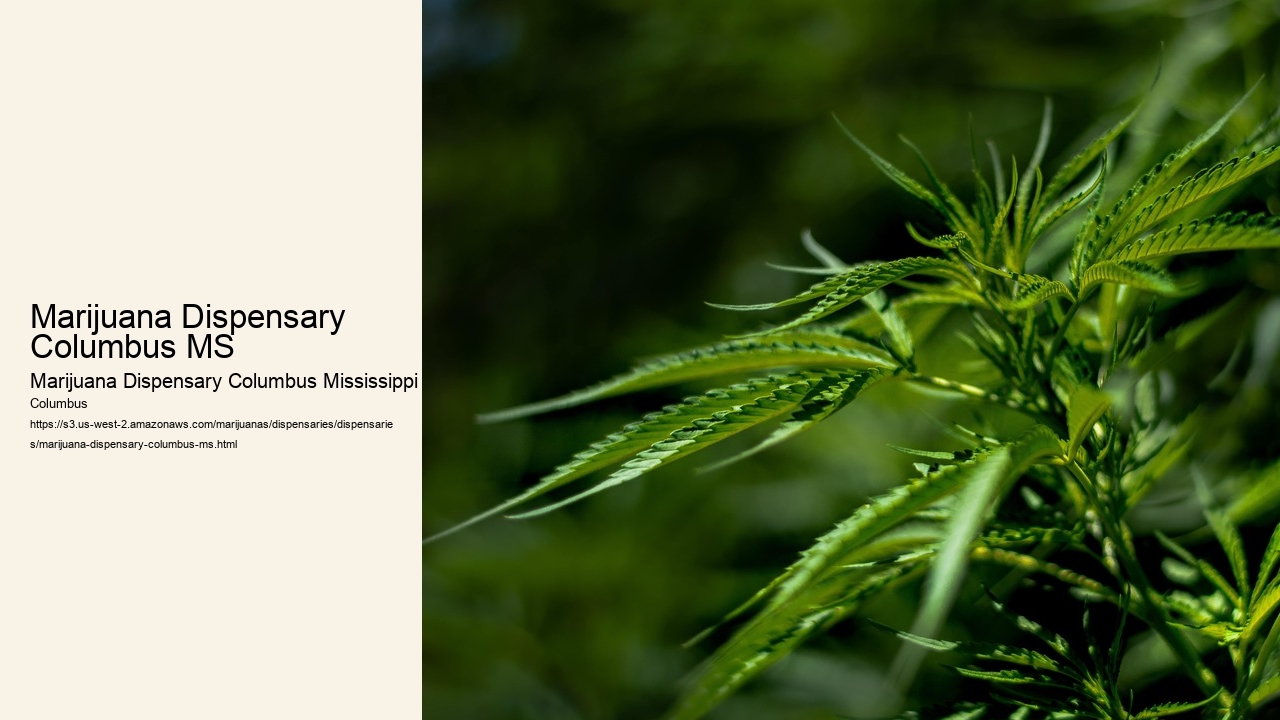 Marijuana Dispensary Columbus MS