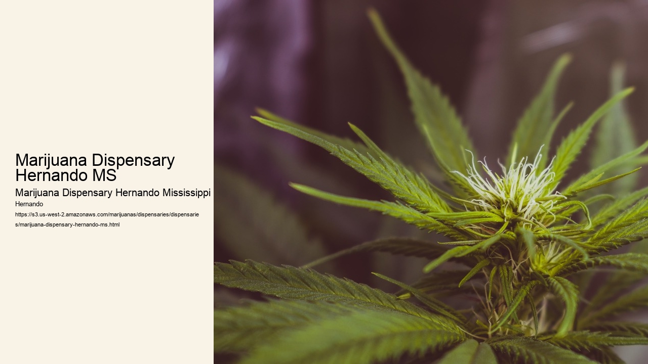Marijuana Dispensary Hernando MS