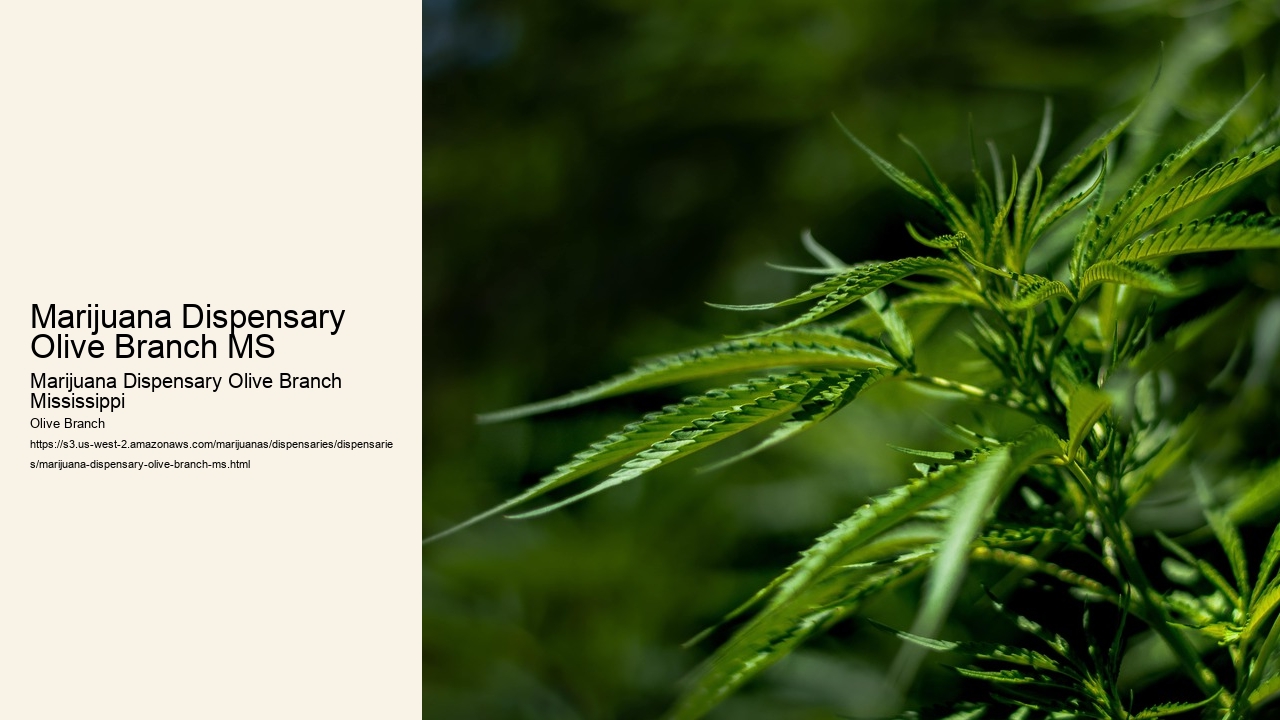 Marijuana Dispensary Olive Branch MS