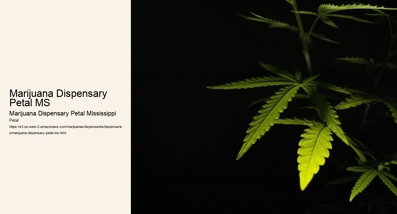 Marijuana Dispensary Petal MS