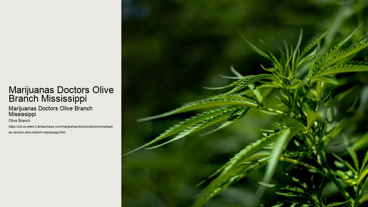 Marijuanas Doctors Olive Branch Mississippi
