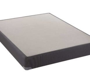 Sealy Box Spring (Standard)