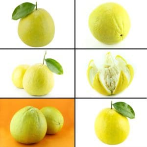 Bergamot orange
