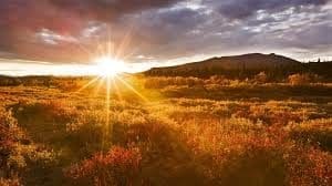 5 Tips For Waking Up on the Sunny Side