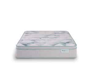 Dream Weaver 14.25" Medium Pillow Top bed