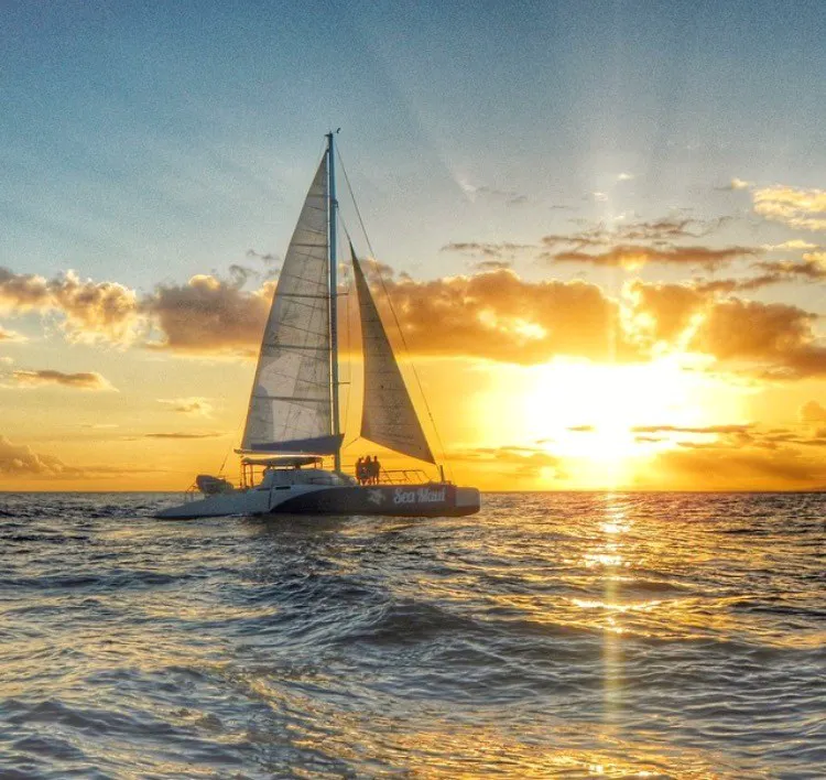 Product Sunset Cocktail Tour and Whale Watch