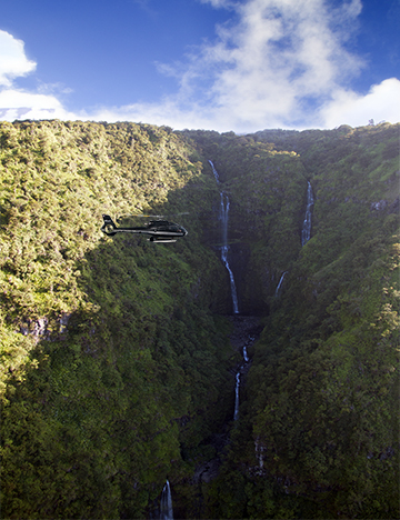 Product Molokai Deluxe 65 Min