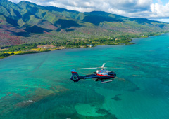 Product HAWAIIAN ODYSSEY 65 MIN.