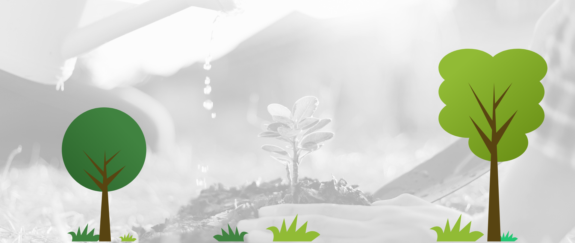 Our Sustainability