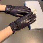 Dior Gloves In Dark Purple