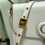 Dior Bobby Frame Bag Black/Brown/White/Greige For Women 8in/20cm M9333UMOF_M900