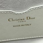 Dior Bobby Frame Bag Black/Brown/White/Greige For Women 8in/20cm M9333UMOF_M900