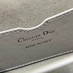 Dior Bobby Frame Bag Black/Brown/White/Greige For Women 8in/20cm M9333UMOF_M900