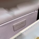 Christian Dior 30 Montaigne East West Bag With Chain Pink For Women 8.5in/21.5cm
