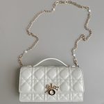 Dior Lady Top Handle Clutch Beige/Black/White For Women 8.5in/21cm S0980ONMJ_M49P