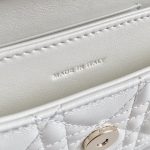 Dior Lady Top Handle Clutch Beige/Black/White For Women 8.5in/21cm S0980ONMJ_M49P