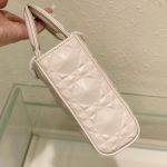 Dior Medium Lady D-joy Bag White/Grey/Beige/Black For Women 10in/26cm M0540ONGE_M030