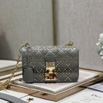 Dior Small Dior Addict Bag Black/Grey/White/Blue/Brown For Women 9.1in/23cm