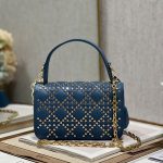 Dior Small Dior Addict Bag Black/Grey/White/Blue/Brown For Women 9.1in/23cm