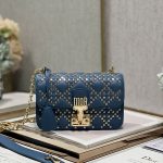 Dior Small Dior Addict Bag Black/Grey/White/Blue/Brown For Women 9.1in/23cm