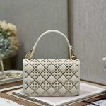 Dior Small Dior Addict Bag Black/Grey/White/Blue/Brown For Women 9.1in/23cm