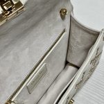 Dior Small Dior Addict Bag Black/Grey/White/Blue/Brown For Women 9.1in/23cm