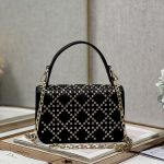 Dior Small Dior Addict Bag Black/Grey/White/Blue/Brown For Women 9.1in/23cm