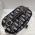 Dior Small Diortravel Vanity Case With Shoulder Strap Beige For Women 7.5in/18.5cm