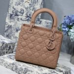 Dior Medium Lady Bag  Black/White/Beige/Grey For Women 9.5in/24cm M0565ONGE_M900