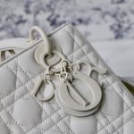 Dior Medium Lady Bag  Black/White/Beige/Grey For Women 9.5in/24cm M0565ONGE_M900