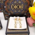 Dior 21 Autumn Earrings Gold For Women