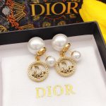 Dior CD Earrings Gold For Women
