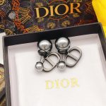 Dior Earrings Black For Women