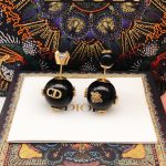 Dior Earrings Black For Women