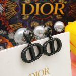 Dior Earrings Black For Women