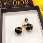 Dior Earrings Black For Women