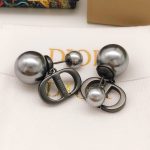 Dior Earrings Black For Women