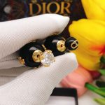 Dior Earrings Black For Women