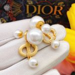 Dior Earrings Gold For Women