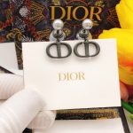 Dior Earrings Black For Women