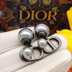 Dior Earrings Black For Women