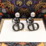 Dior Earrings Black For Women