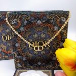 Dior Necklace Engraved Storage Gold For Women