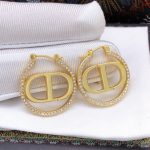 Dior Rhinestone Glossy Earrings Gold For Women
