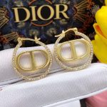 Dior Rhinestone Glossy Earrings Gold For Women