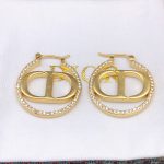 Dior Rhinestone Glossy Earrings Gold For Women