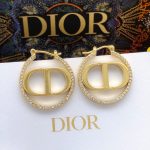 Dior Rhinestone Glossy Earrings Gold For Women