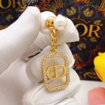 Dior Tribal Earrings Gold For Women